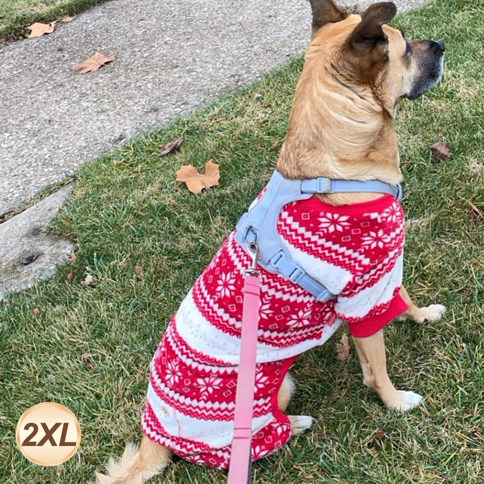 KYEESE dog Christmas pajamas ideal for park walks in chilly weather