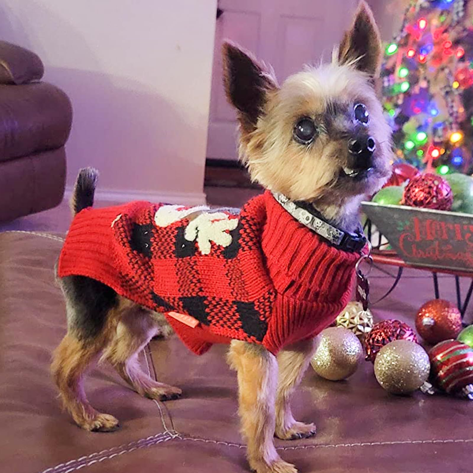 KYEESE dog sweater is machine-washable and dryer-friendly for quick cleanup.