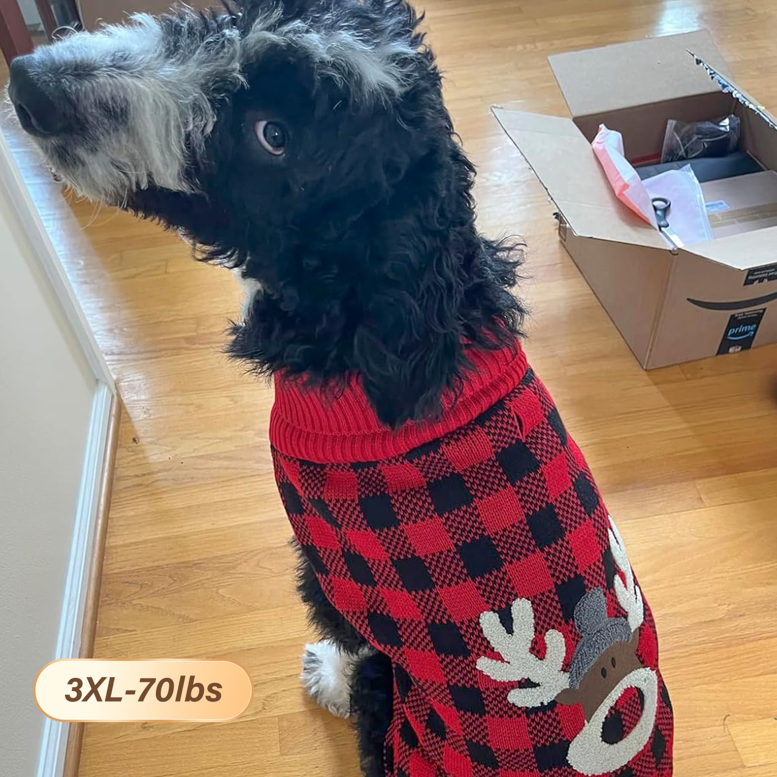 KYEESE XXX-Large fit designed for roomy comfort on large dogs.