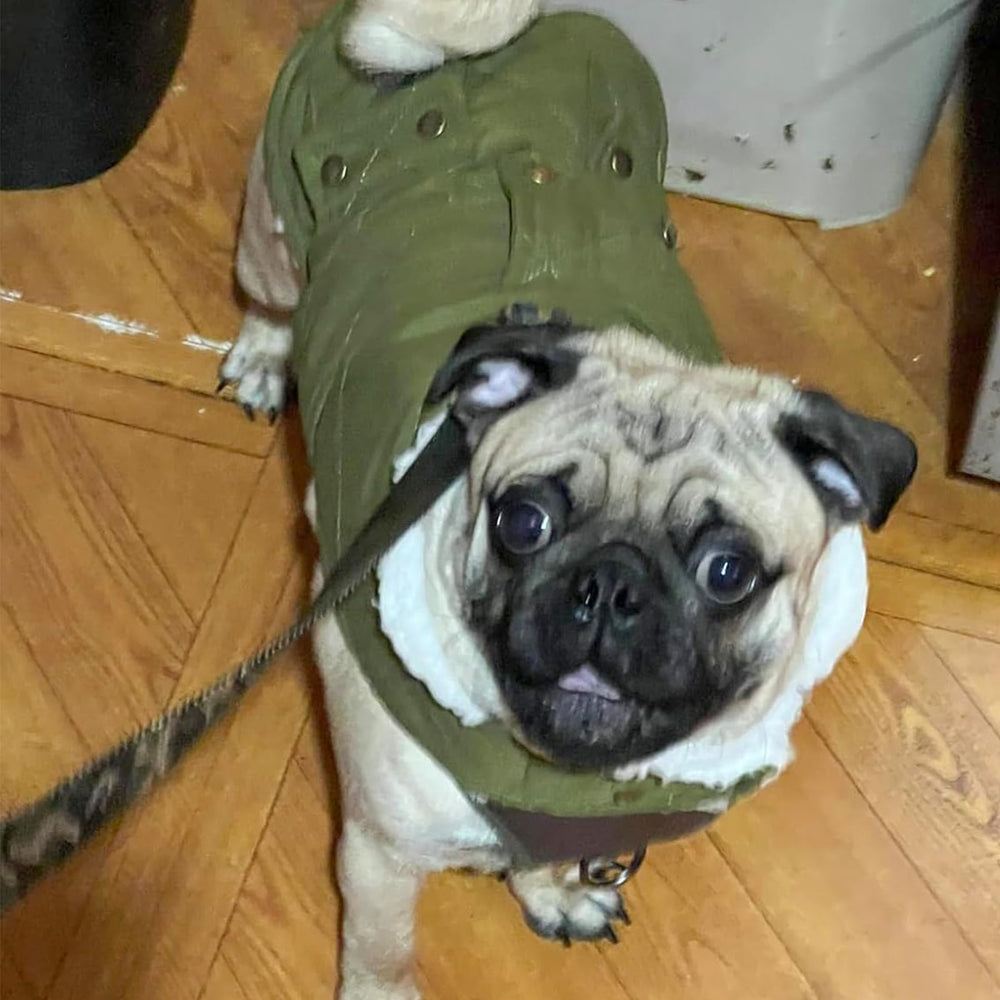 KYEESE size range S-3XL fits small to large breeds.