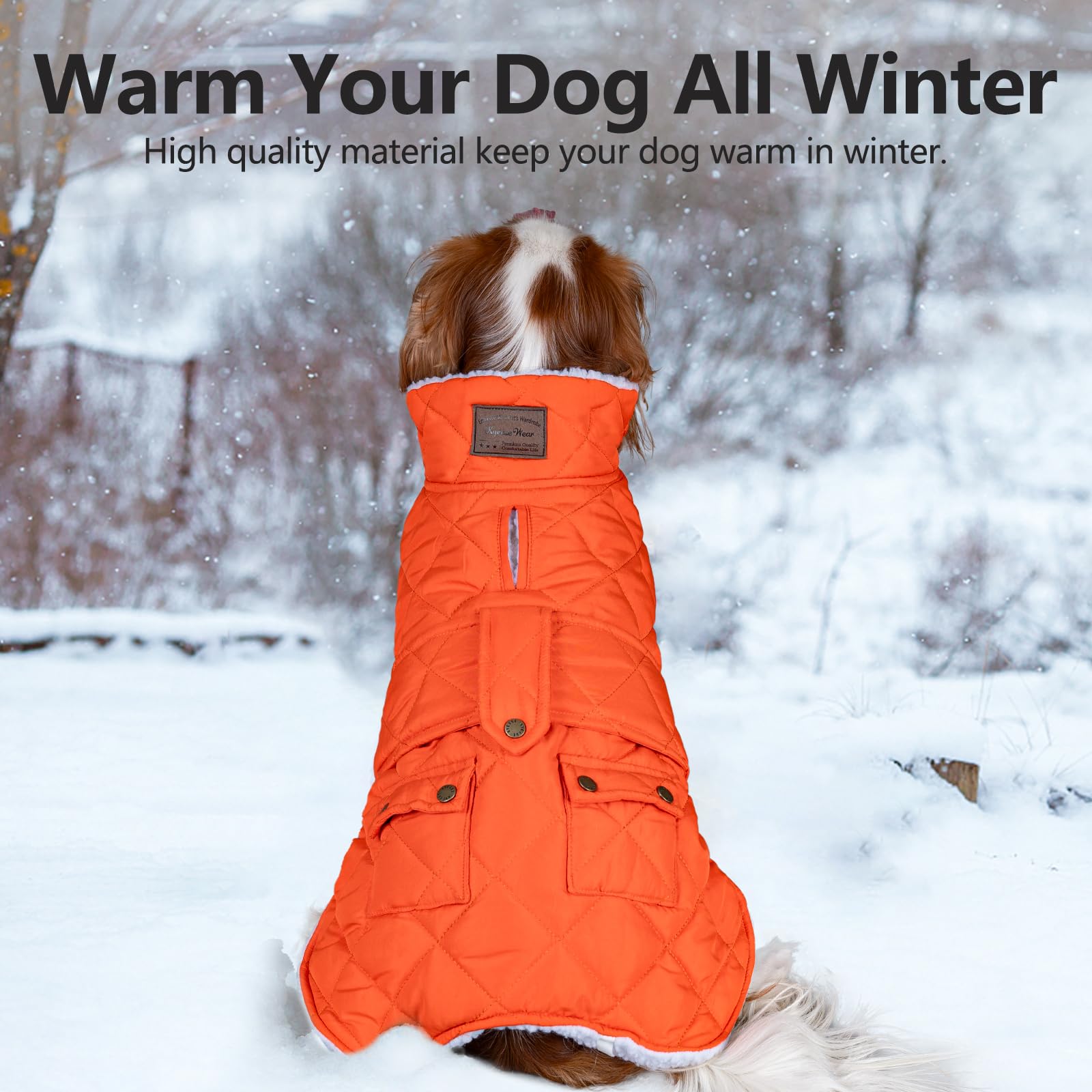 Kyeeese dog coat leash hole enables safe outdoor walking.