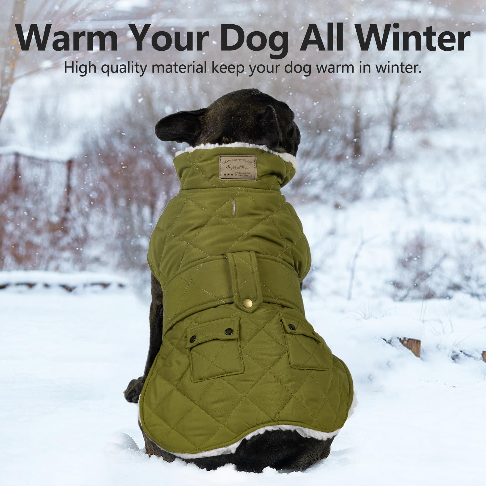 KYEESE dog coat waterproof outer shell keeps dog dry during misty mornings