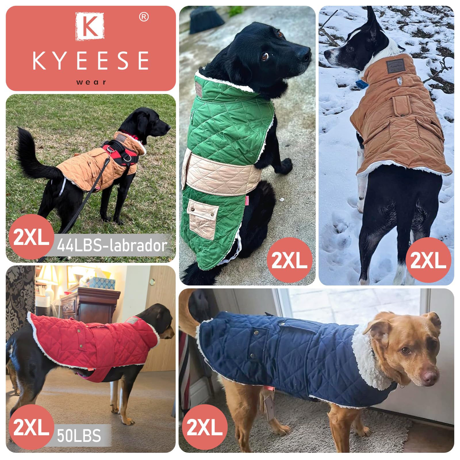 KYEESE dog coat waterproof shell protects against rain and drizzle on walks.