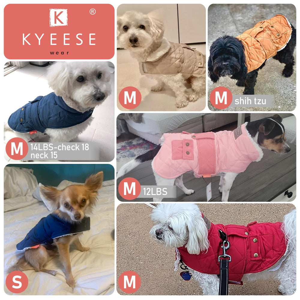 KYEESE windproof outer coat keeps your dog cozy outdoors.