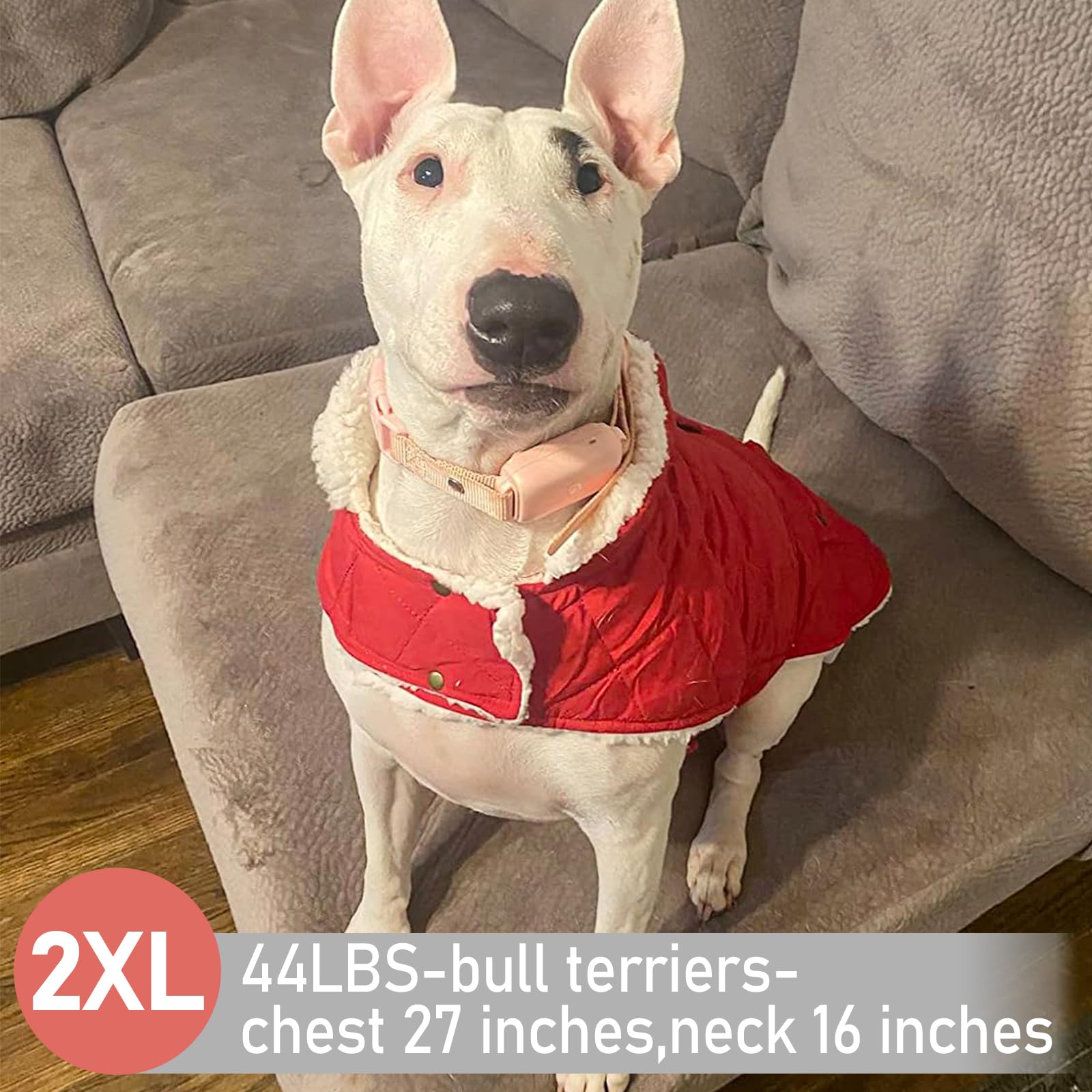KYEESE dog coat winter warmth supports comfortable everyday outings.