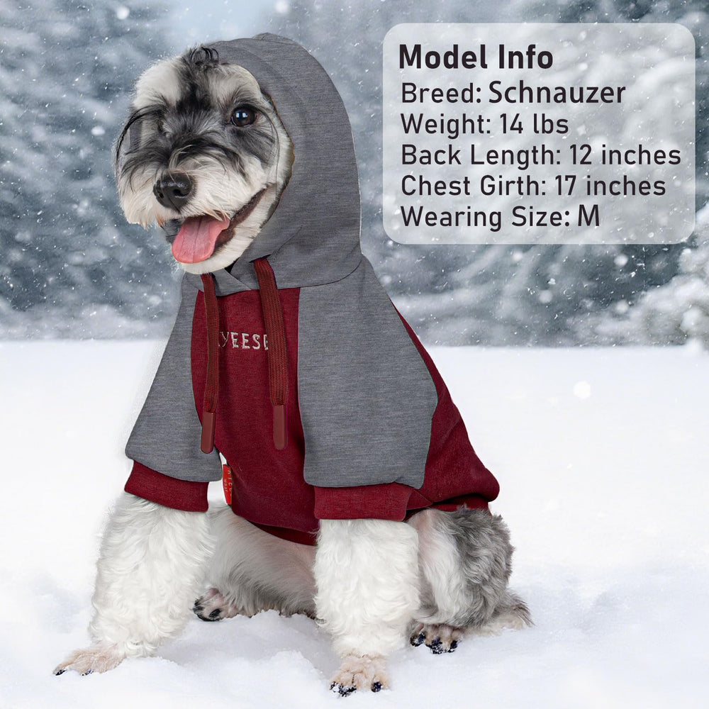 KYEESE dog hoodie worn during daily walk for comfy, easy dressing.
