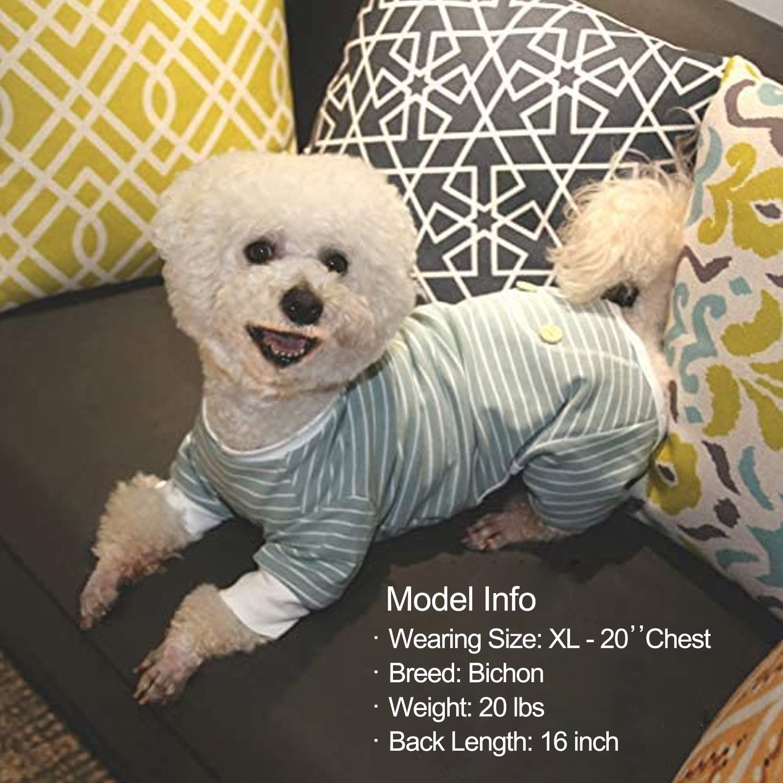 KYEESE size chart helps choose chest, neck, and back measurements.