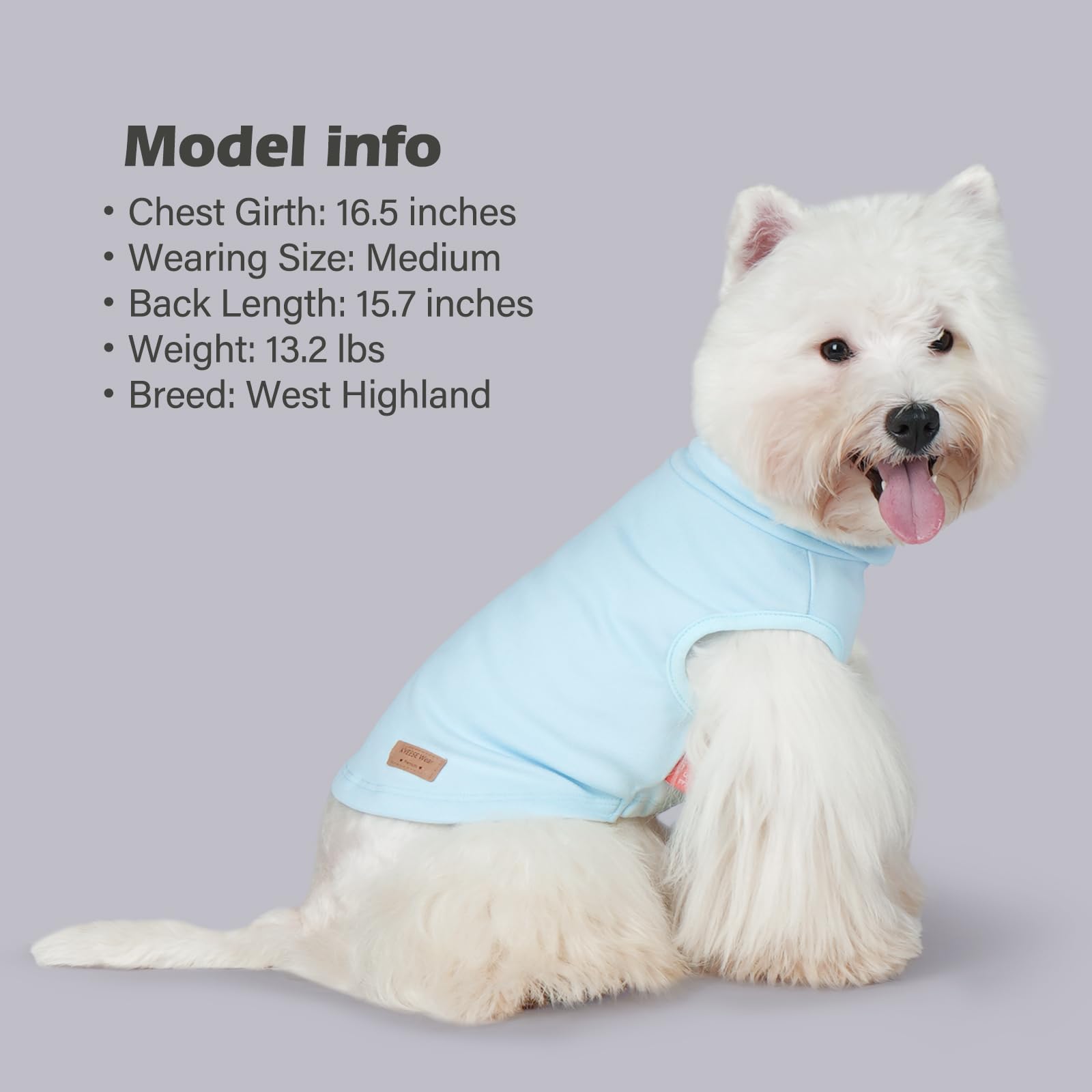 KYEESE dog sweater high-cut belly design supports easy potty access