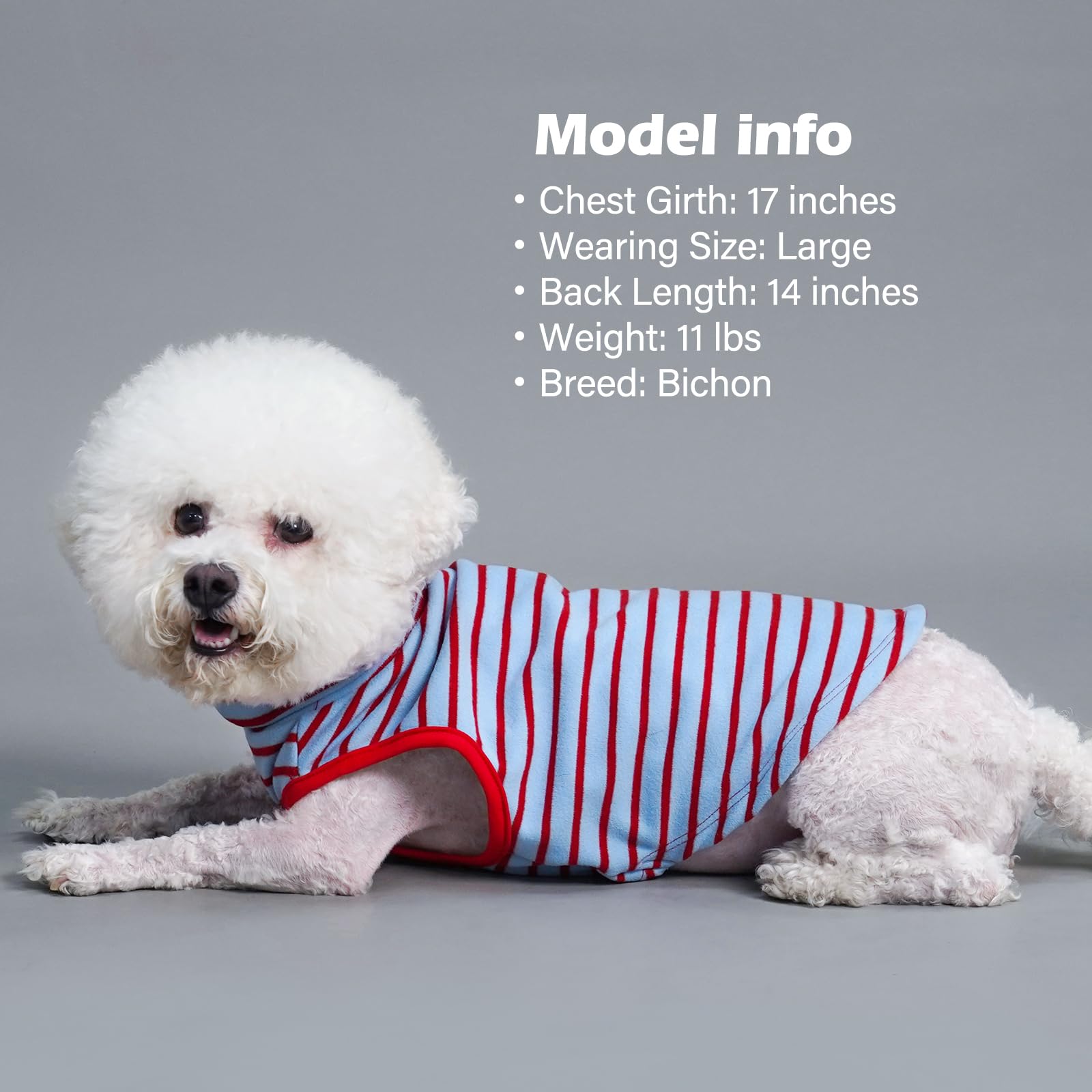 KYEESE high-cut belly image shows easy potty breaks with KYEESE coat.