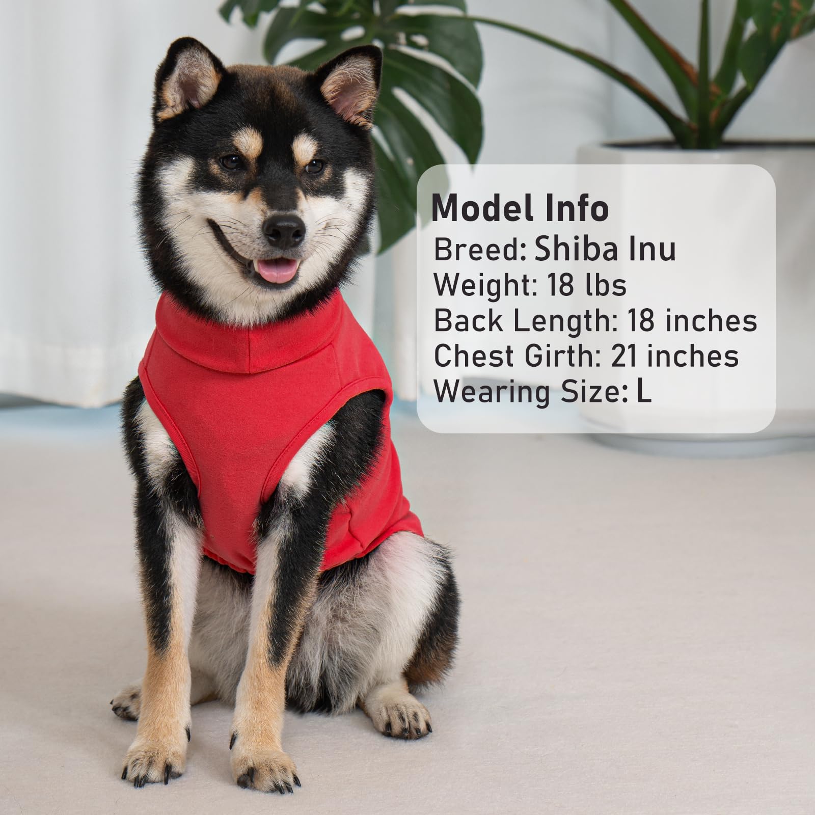 KYEESE dog sweater ideal for indoor wear or as base layer during outdoor strolls