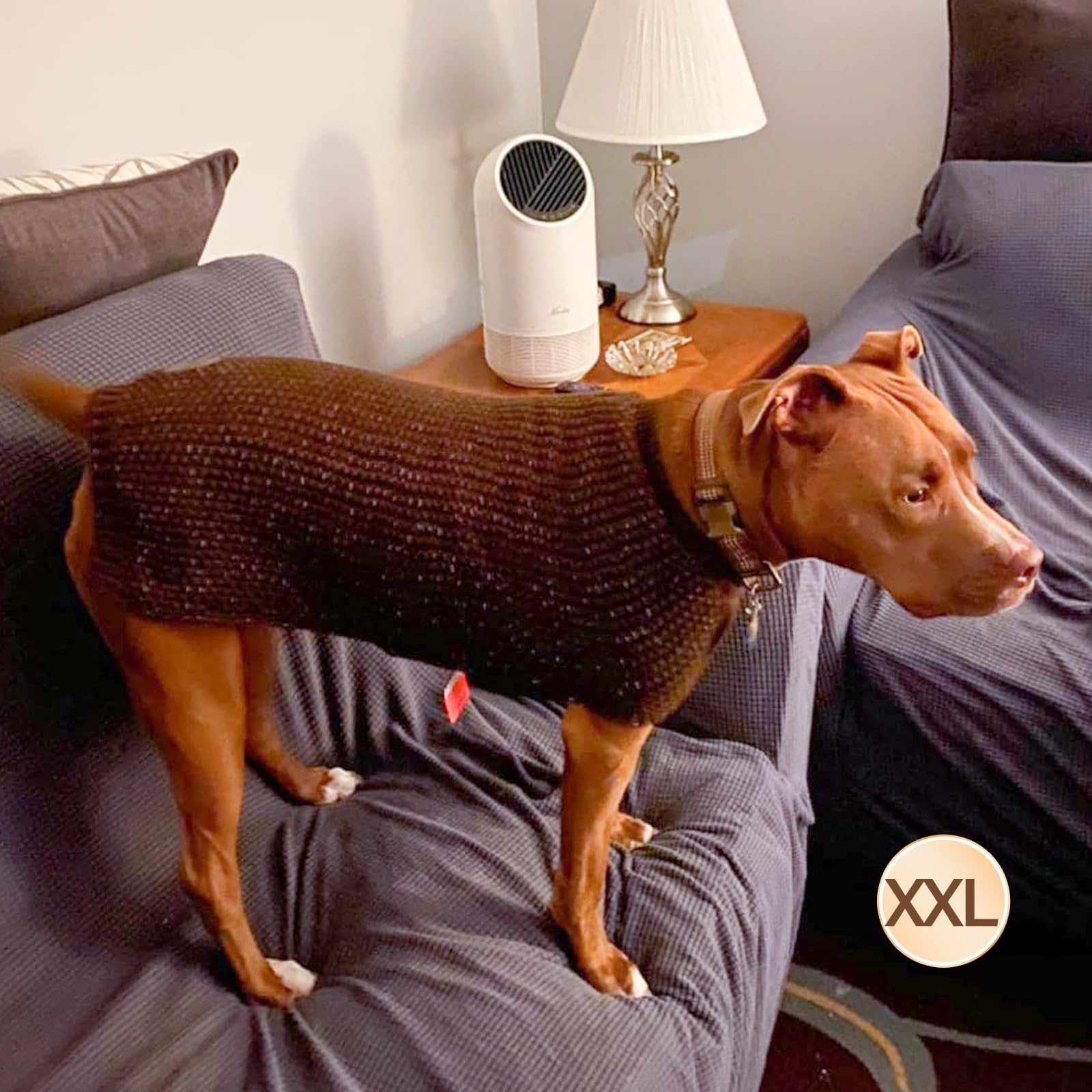 KYEESE khaki dog sweater pairs with collars and leashes