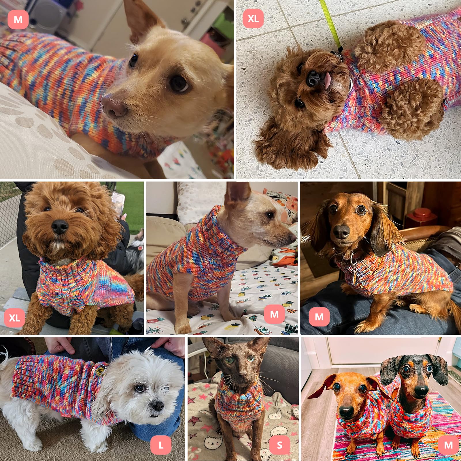 KYEESE dog sweater model wearing warmth with multicolor-thread detail.