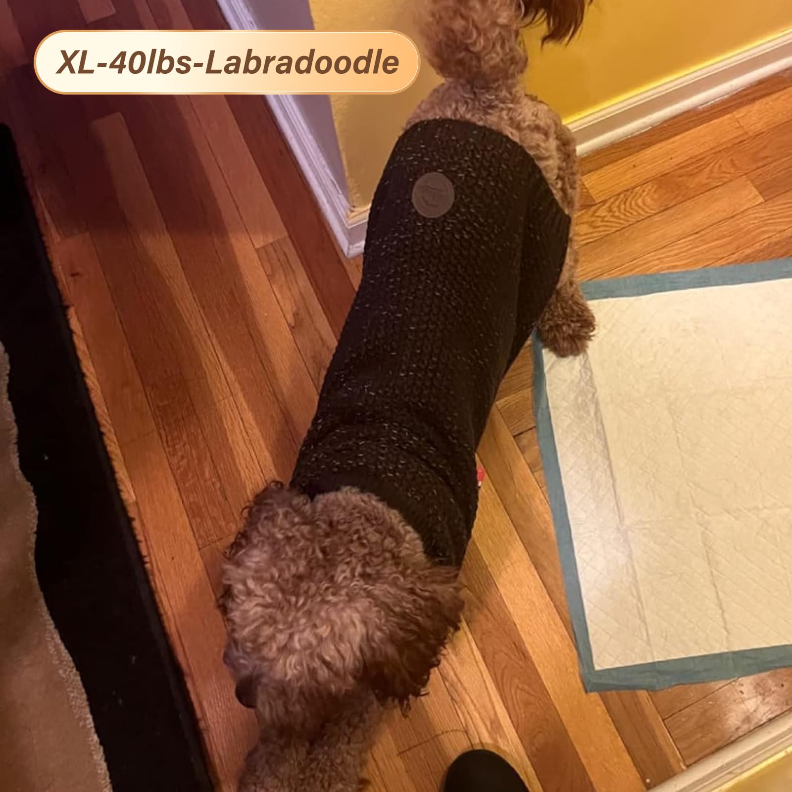 KYEESE dog sweater night-walk visibility supports safer strolls.