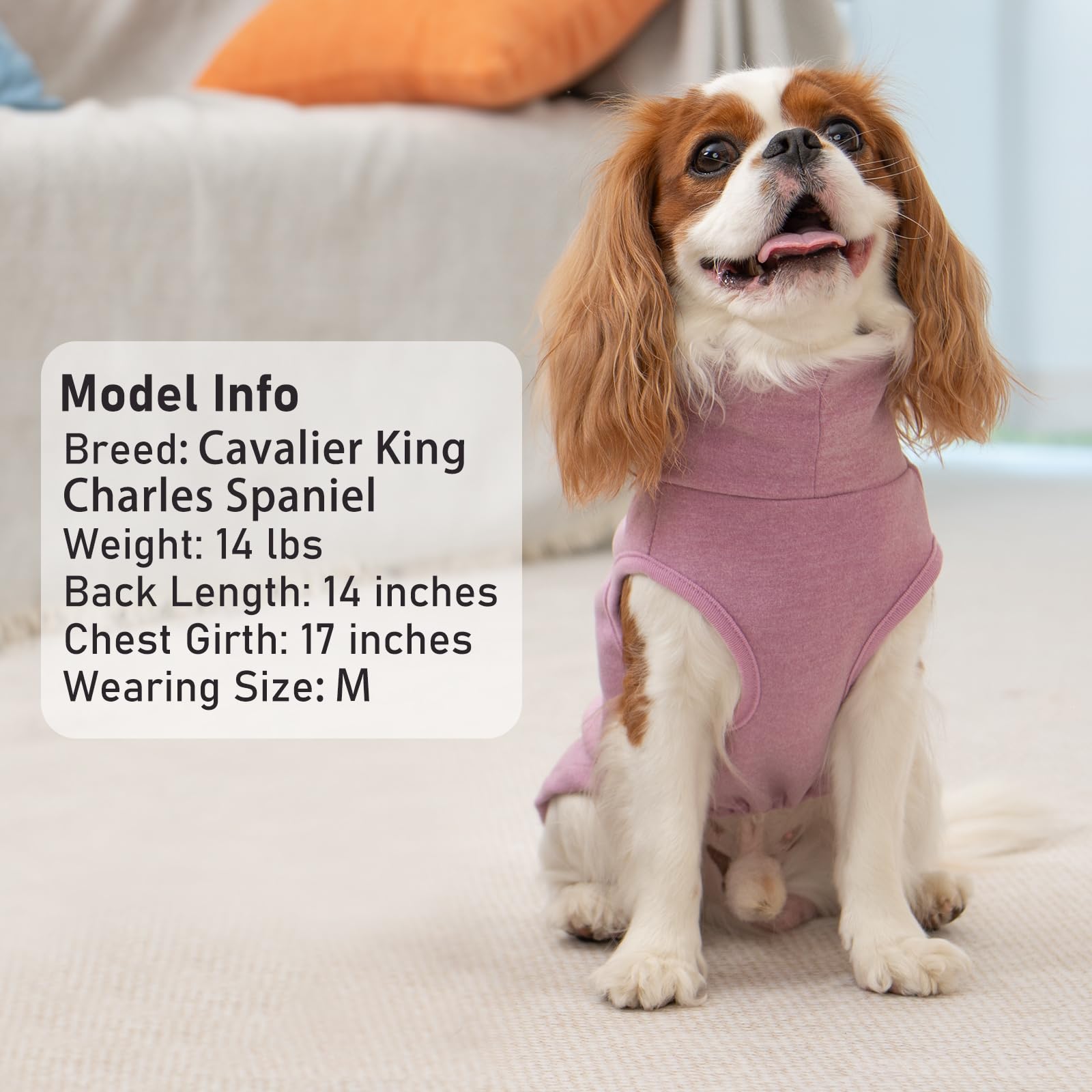 KYEESE dog sweater outdoor wear view demonstrates easy layering under jackets
