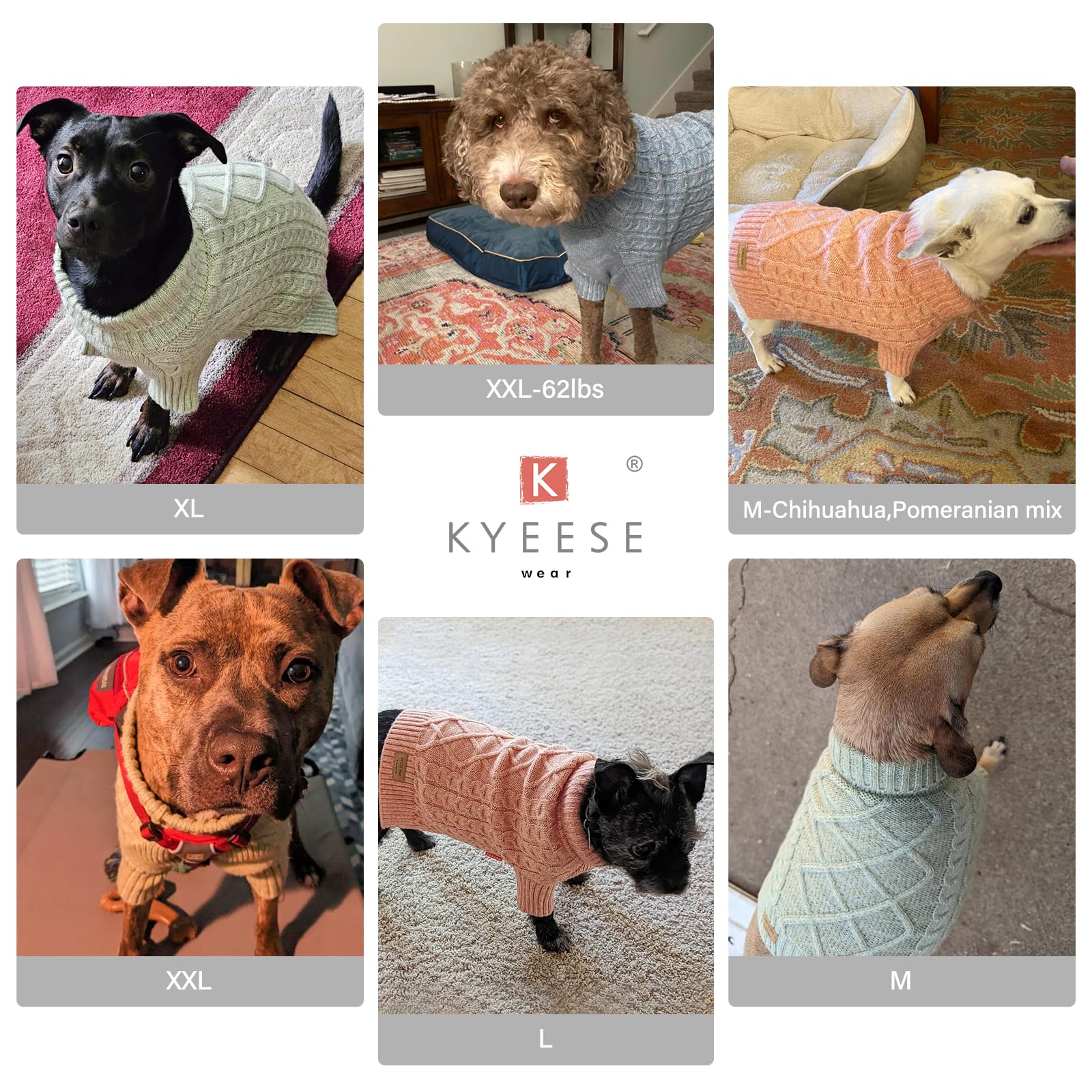 KYEESE dog sweater worn outdoors demonstrates warm comfort on chilly walks.