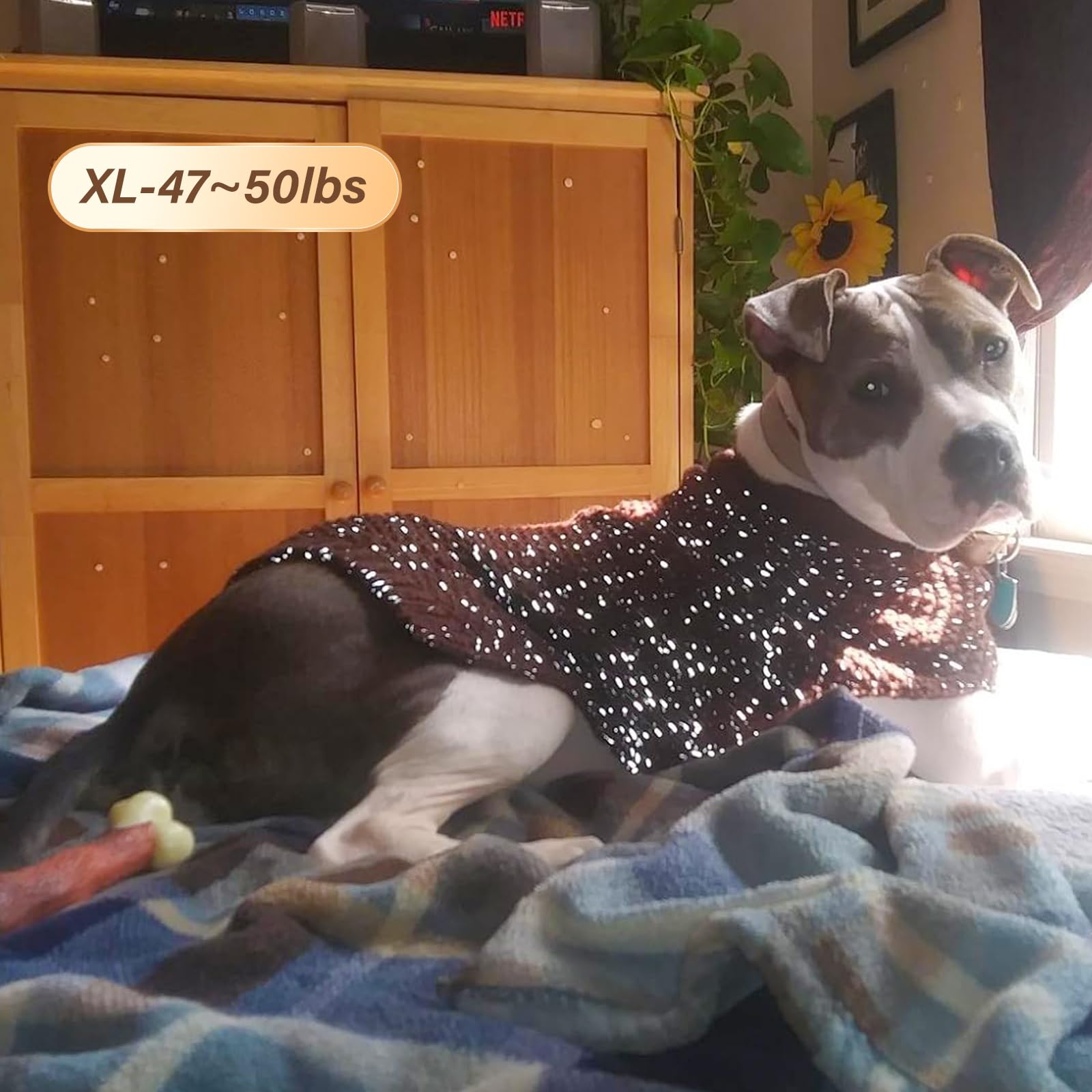 KYEESE dog sweater pull-on design for quick dressing.