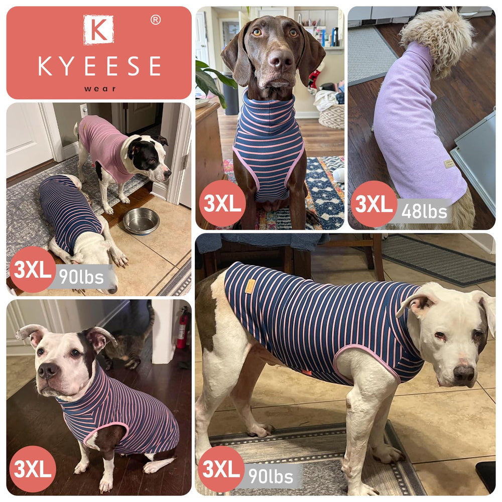 KYEESE stripe style dog sweater demonstrates versatile fashion for outdoor walks