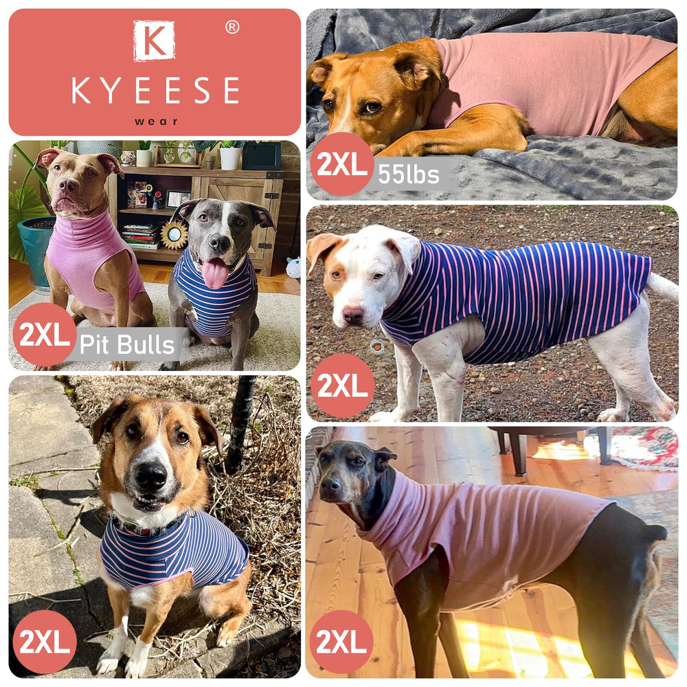 KYEESE dog sweater stretchy velvet texture conveys softness and skin-friendly comfort.
