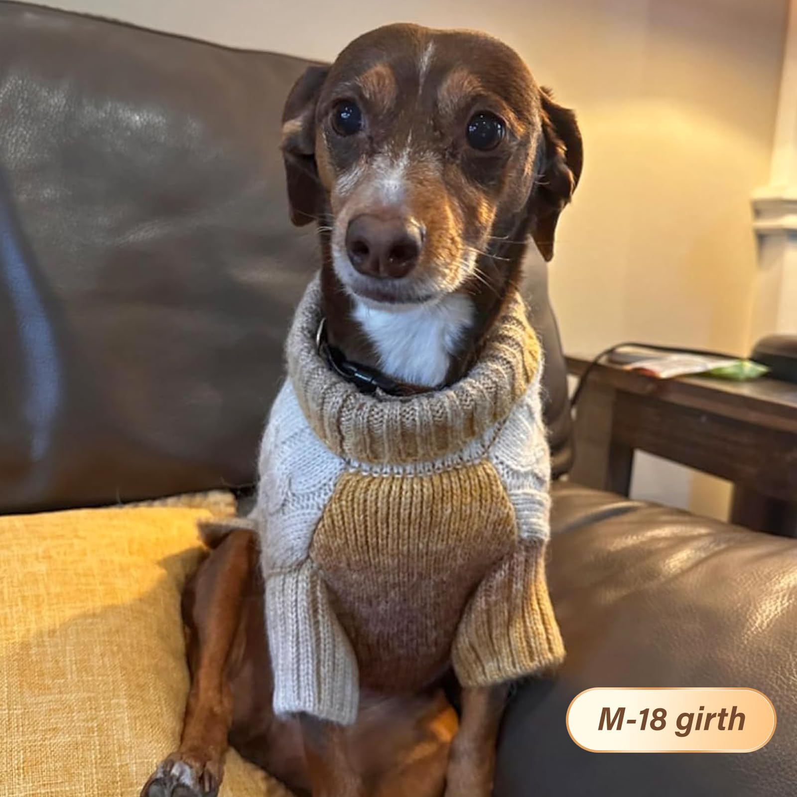 KYEESE dog sweater turtleneck detail highlights snug neck warmth and coverage