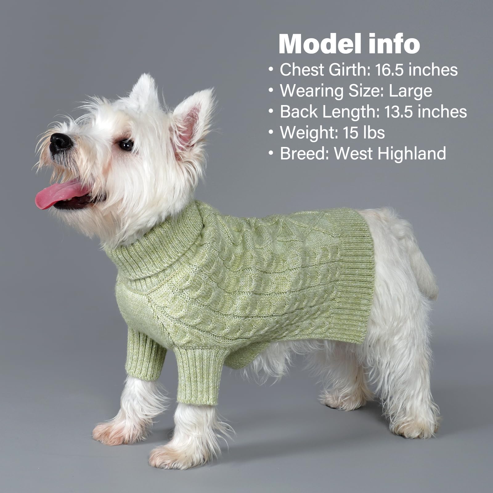 KYEESE dog sweater shows turtleneck and long sleeves for cold days.