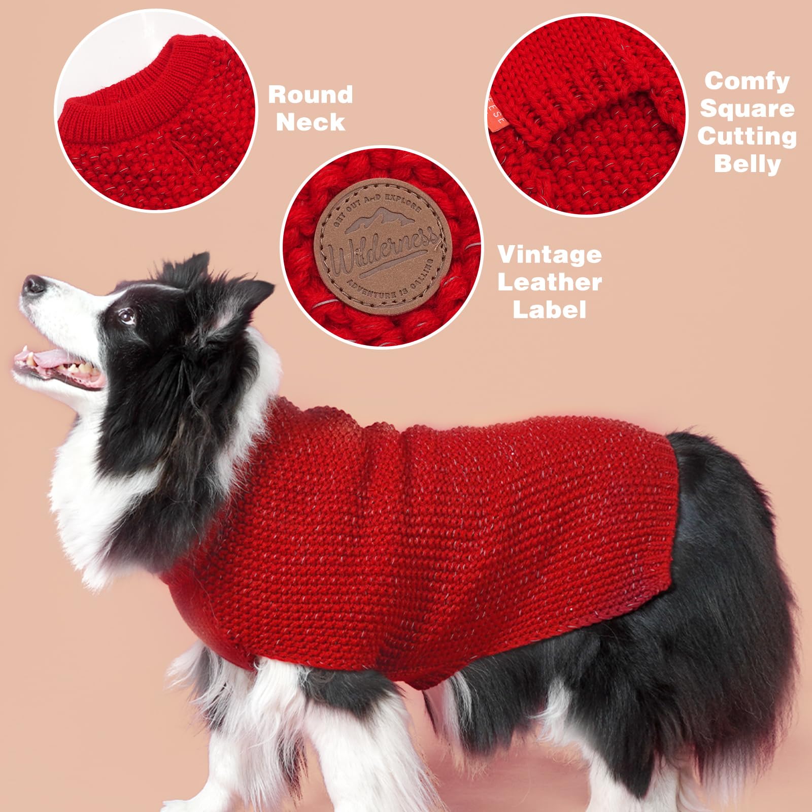 Kyeeese dog wearing sweater during walk highlights comfortable stretch