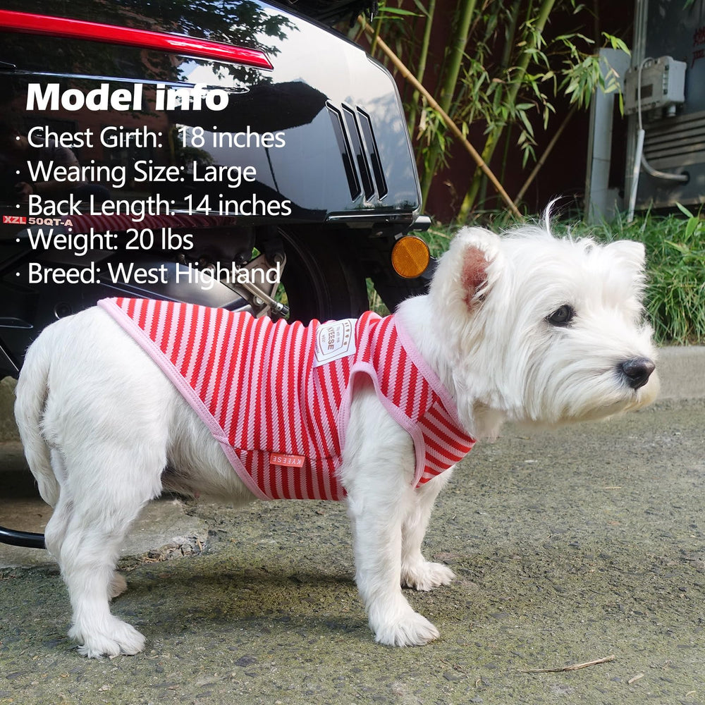 KYEESE dog model wearing outfit during walk for light weight and freedom