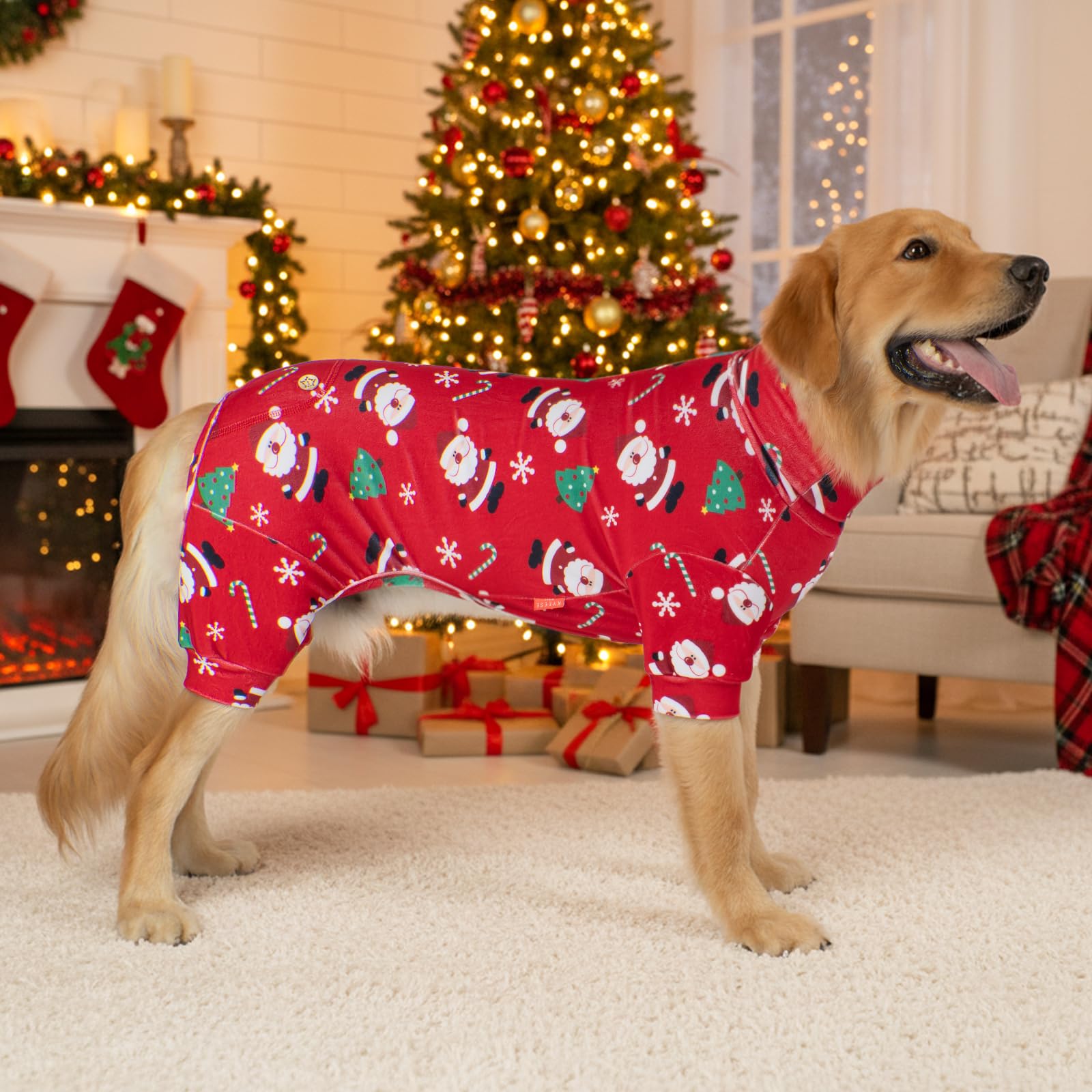 Kyeeese easy-on, easy-off design for quick dress-up and routine paw-checks.