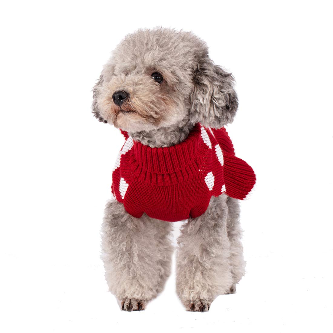 Kyeeese fall-winter dog outfit suitable for cozy indoor moments and festive walks