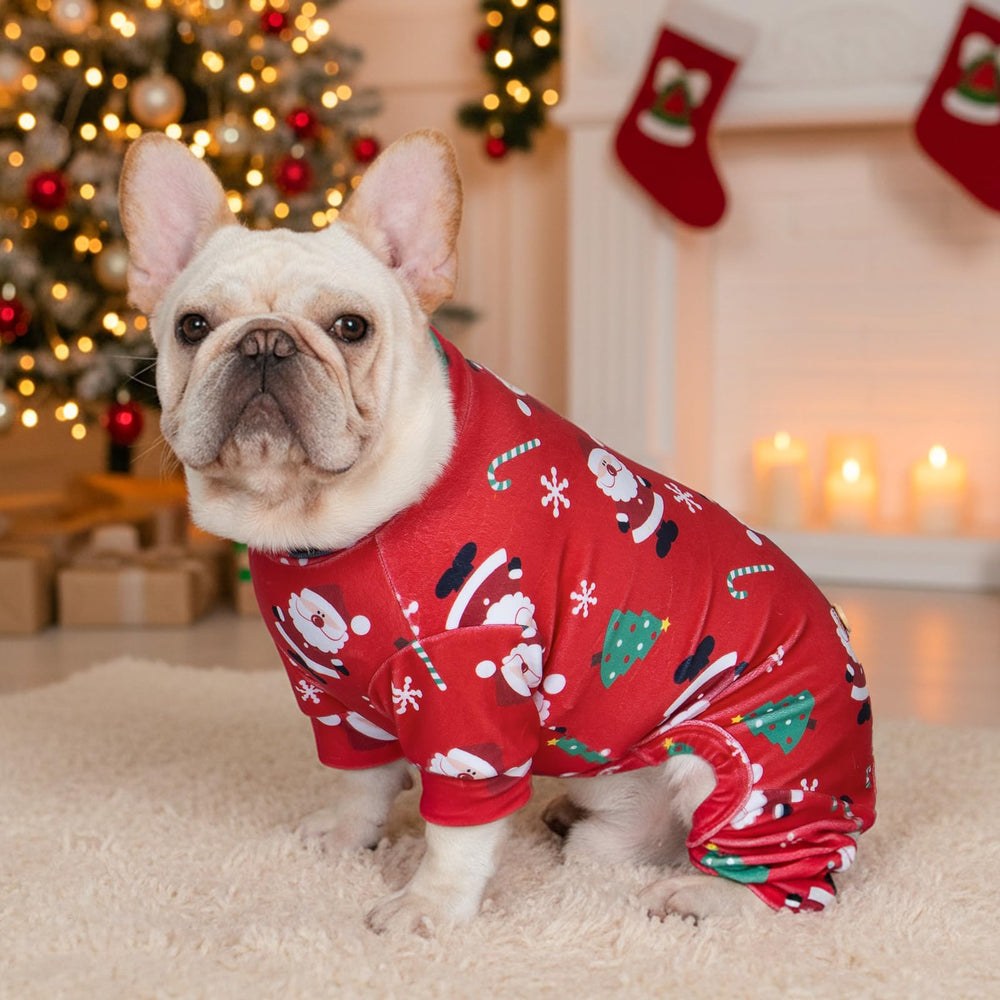 KYEESE holiday outfit enhances festive photos and family moments.