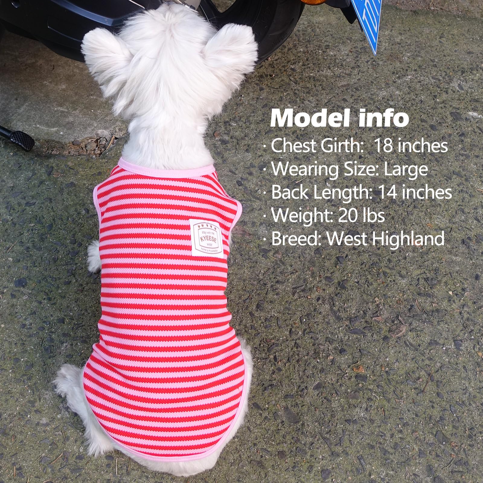 KYEESE lightweight comfortable top ideal for daily use in cooler weather