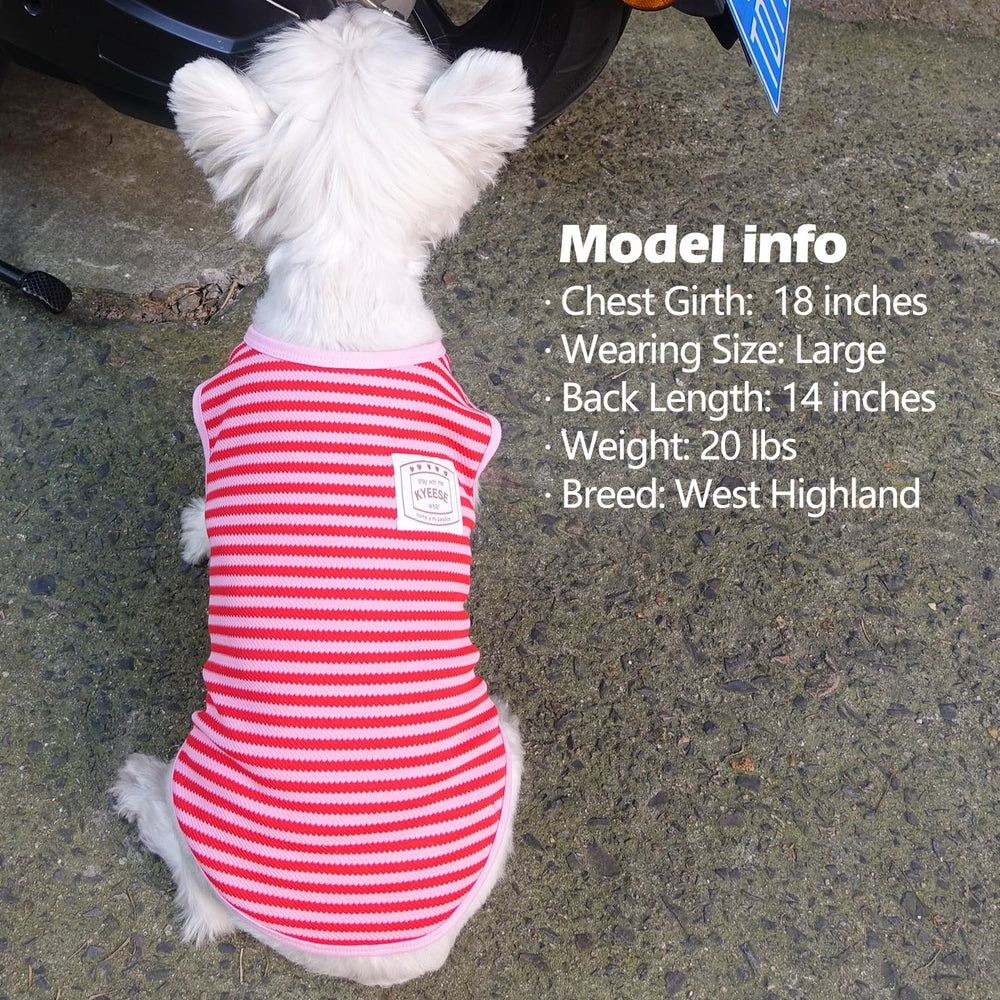 KYEESE lightweight comfortable top ideal for daily use in cooler weather