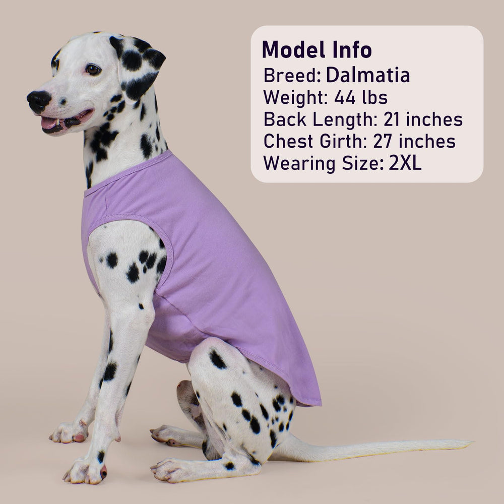 KYEESE lightweight dog tee for warm-weather outings