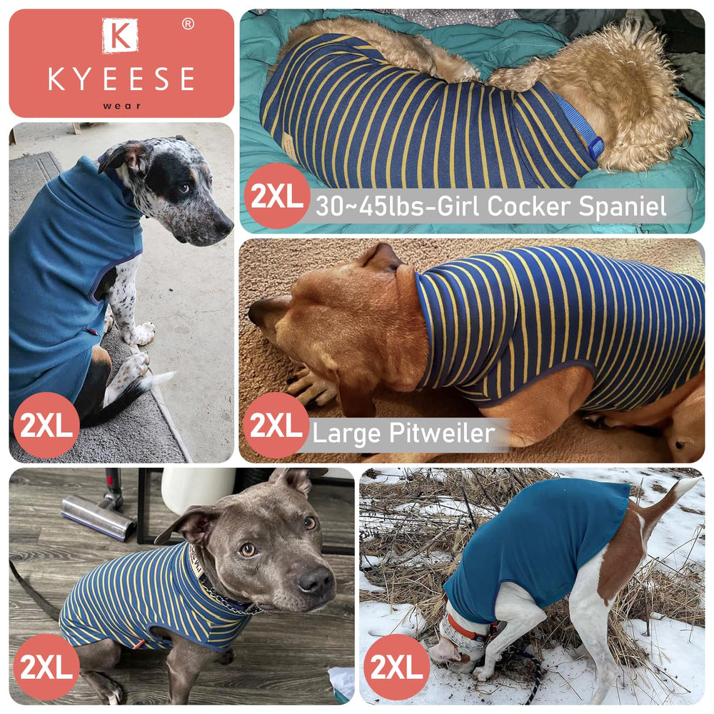 KYEESE striped dog coat showcases stylish warmth for chilly days.