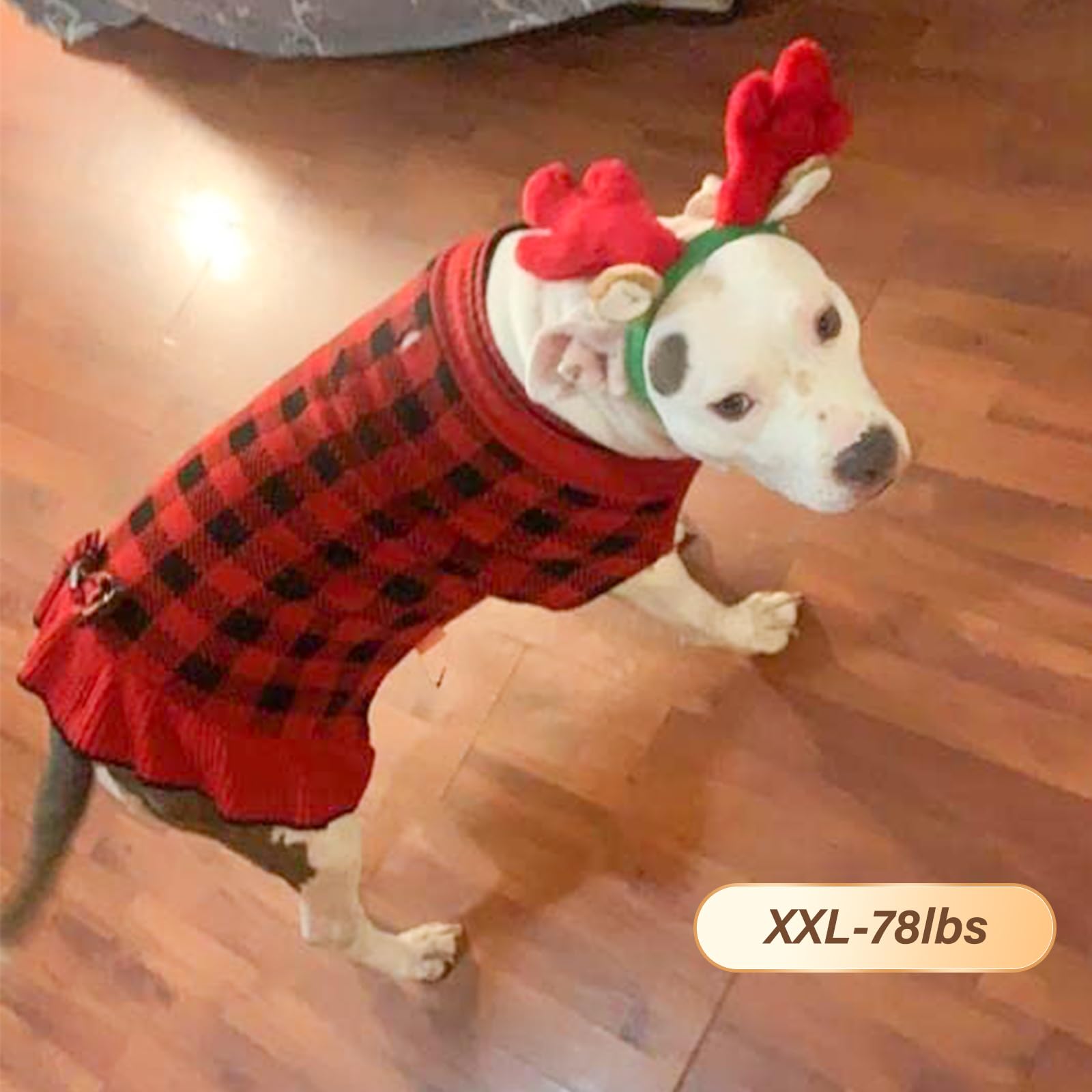 Kyeeese turtleneck design provides additional warmth during walks.