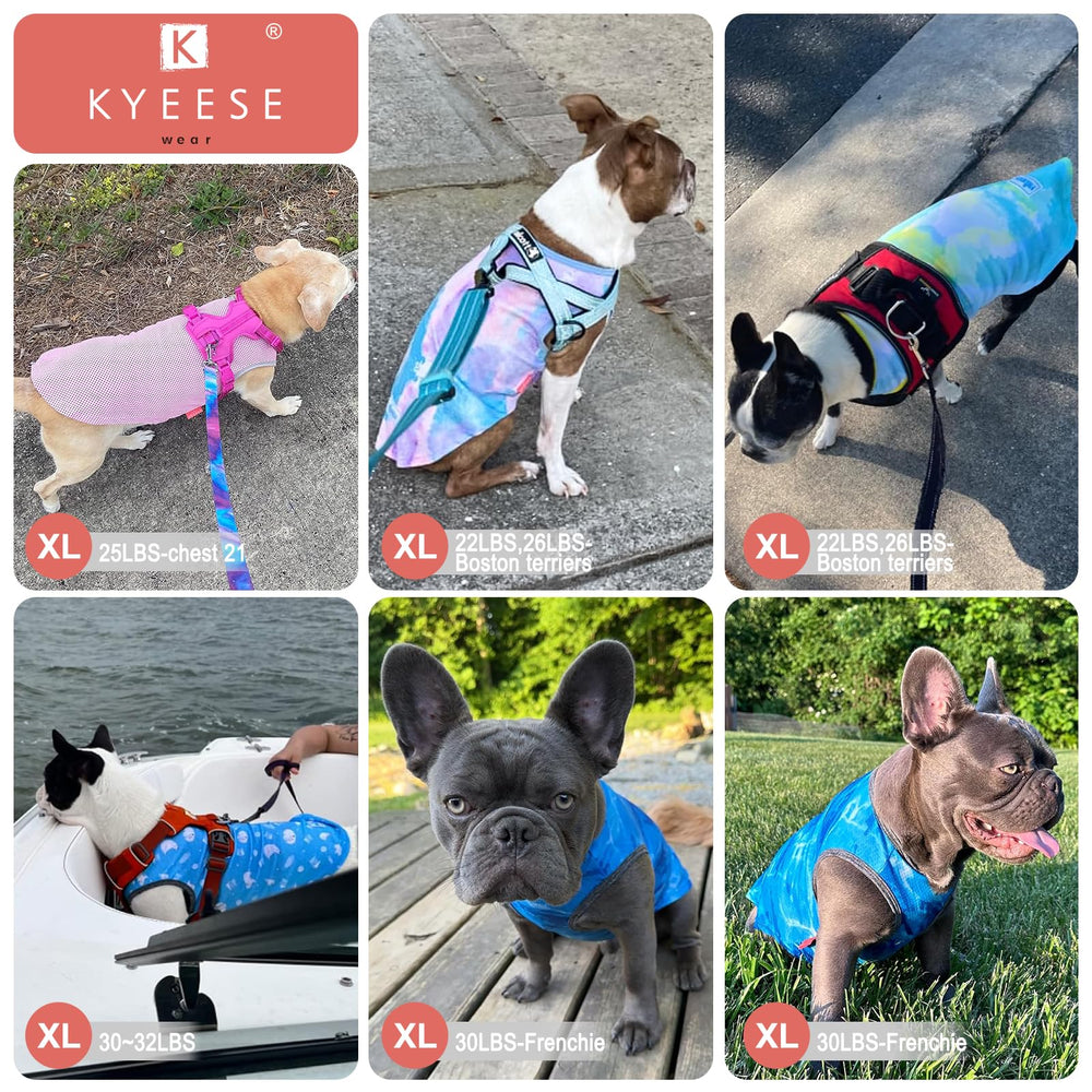 KYEESE two-pack dog cooling shirt packaging indicates two shirts for routines.