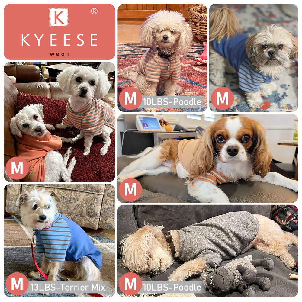 Kyeeese two-pack set doubles style options for everyday and outdoor wear.
