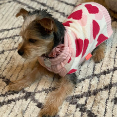 KYEESE Valentines dog sweater warmth on dog demonstrates practical winter wear