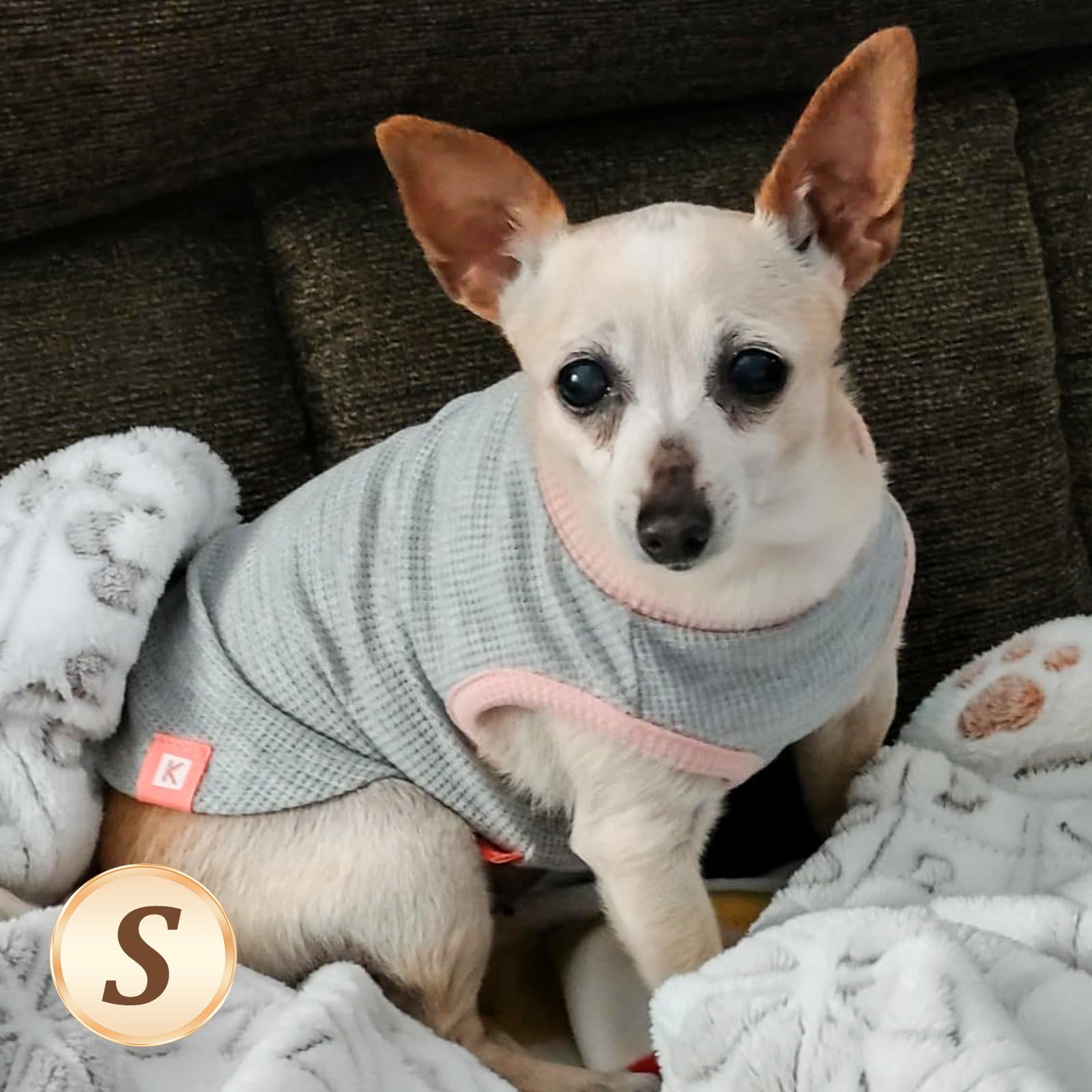 KYEESE dog wearing waffle shirt enjoying lightweight daily comfort