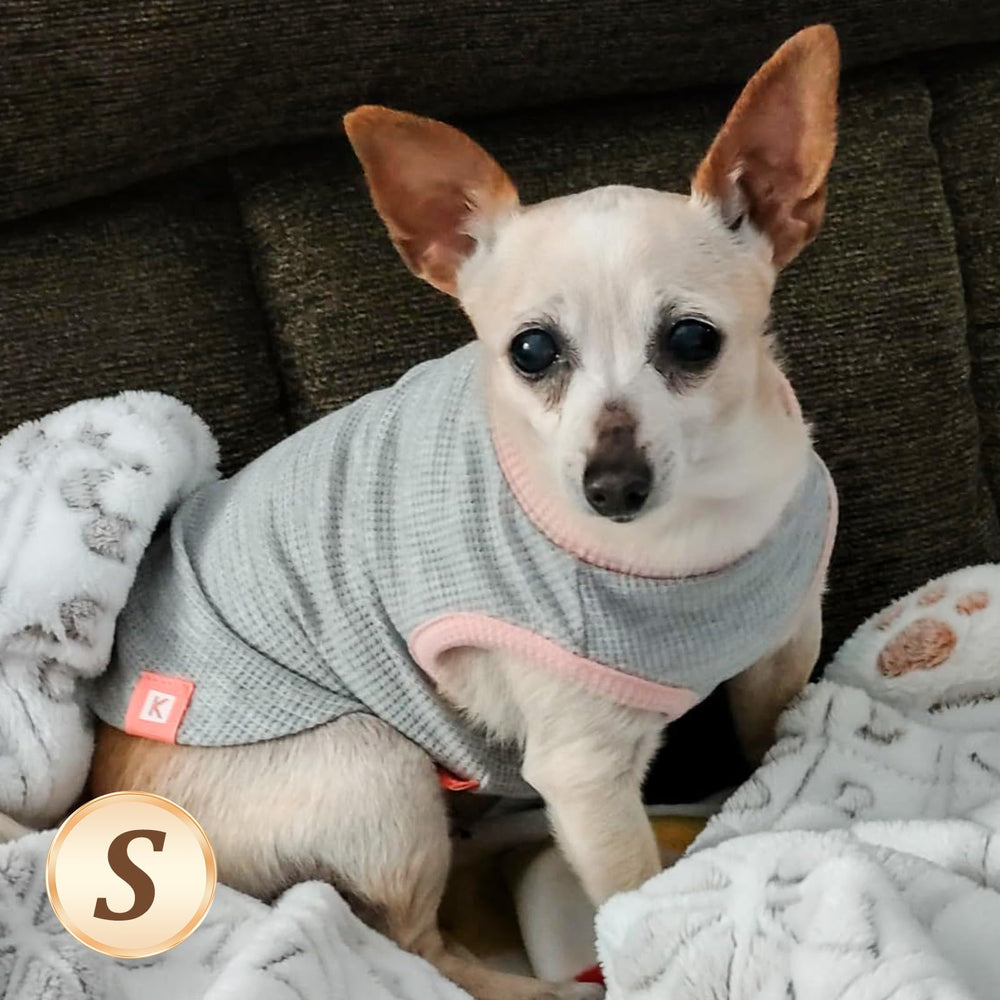 KYEESE dog wearing waffle shirt enjoying lightweight daily comfort