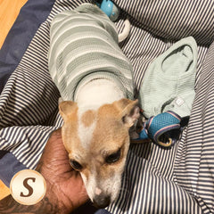 KYEESE waffle dog shirt small green side view emphasizes light daily use
