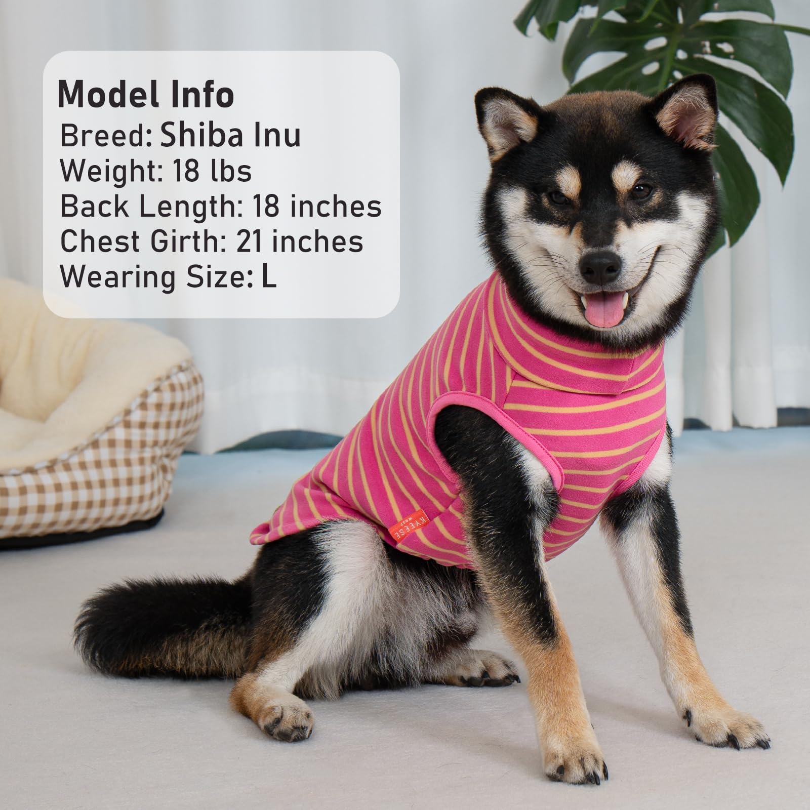 KYEESE 2Pack dog sweater model wearing—cozy indoor layer for chilly days