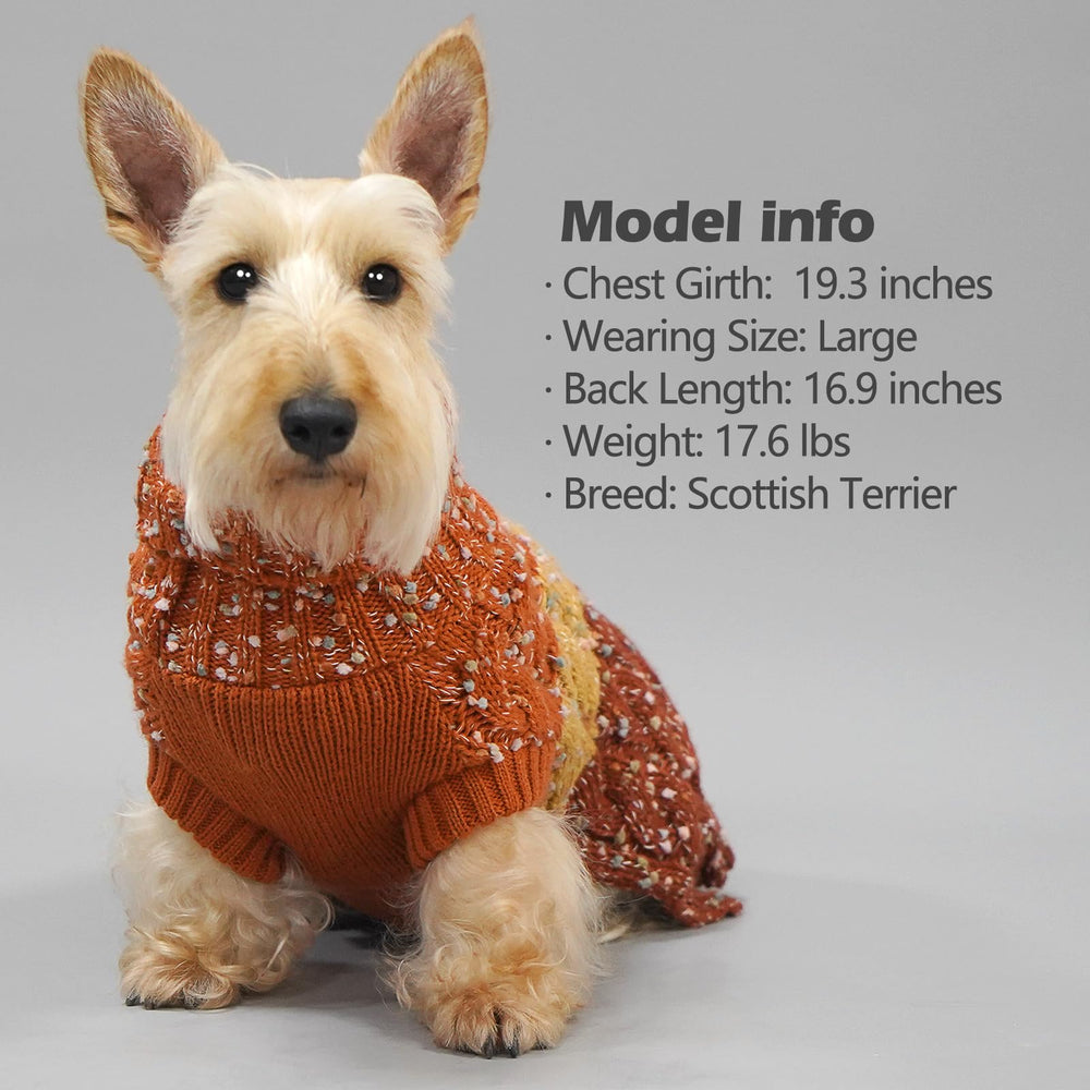 KYEESE color-block dog sweater on a small dog demonstrates versatile fall-winter styling