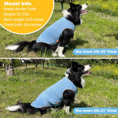 KYEESE dog shirt back view demonstrates stretchy, comfortable fit for daily wear.