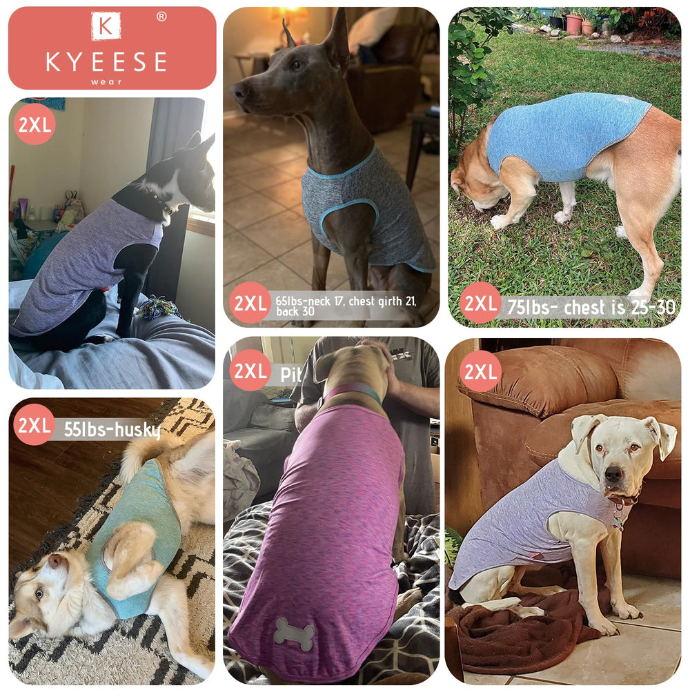 KYEESE dog shirt in light blue and grey colors.