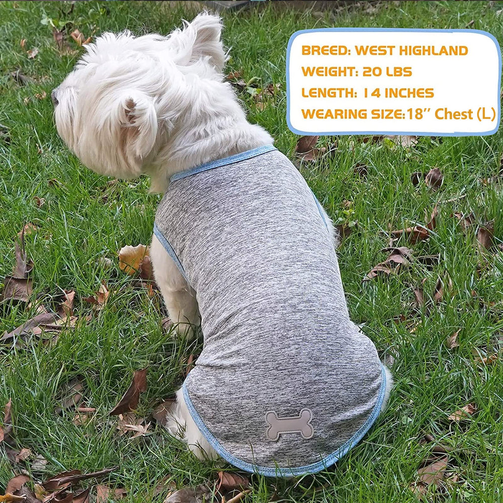 KYEESE dog shirt worn during outdoor walks and hikes.