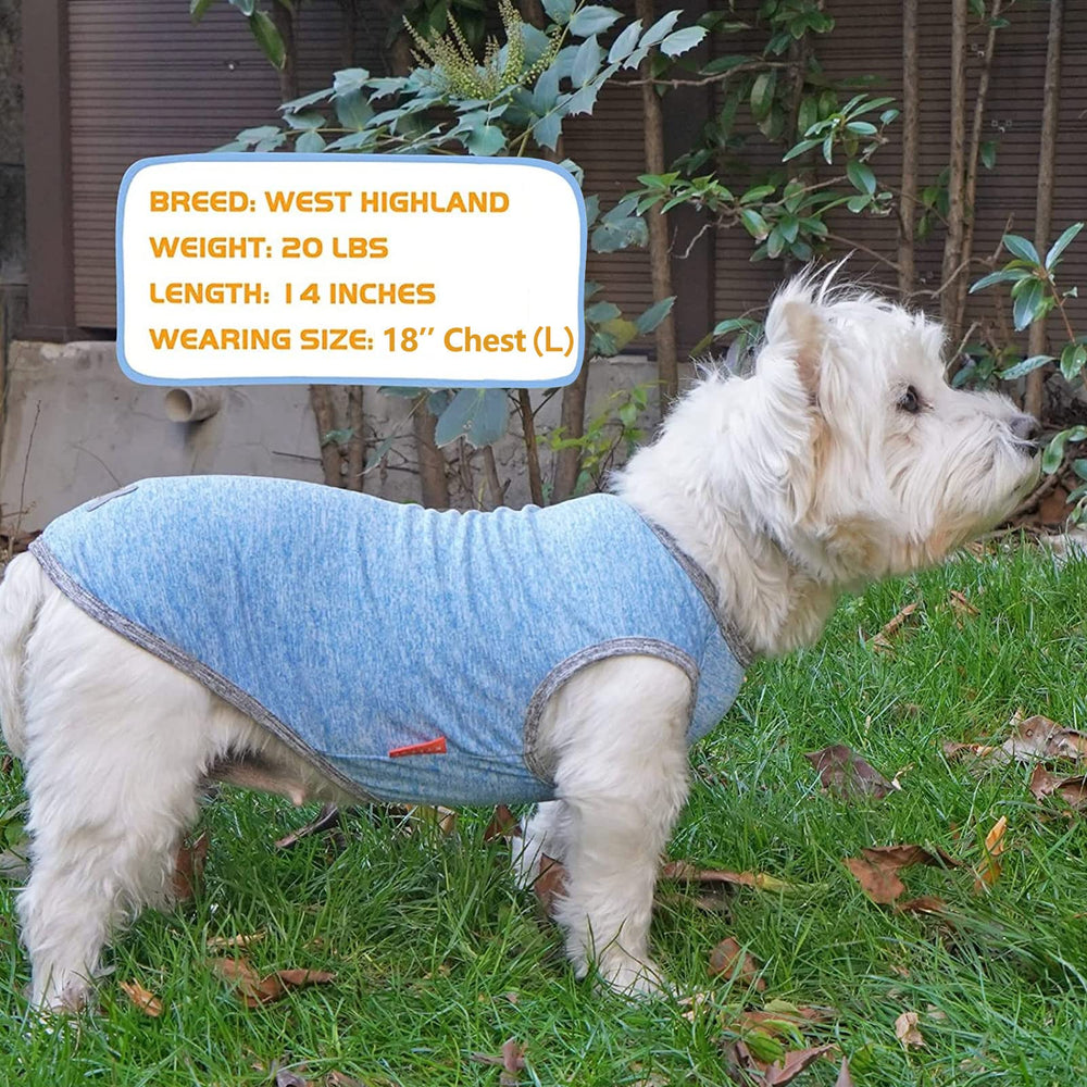 KYEESE dog shirt offers light sun protection on sunny days.
