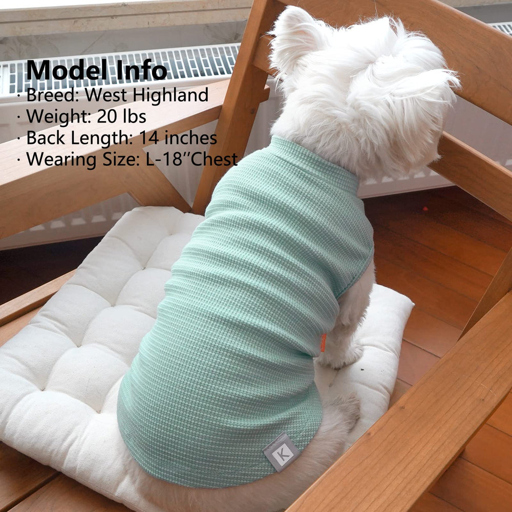 KYEESE color combo green and gray enhances pet wardrobe versatility