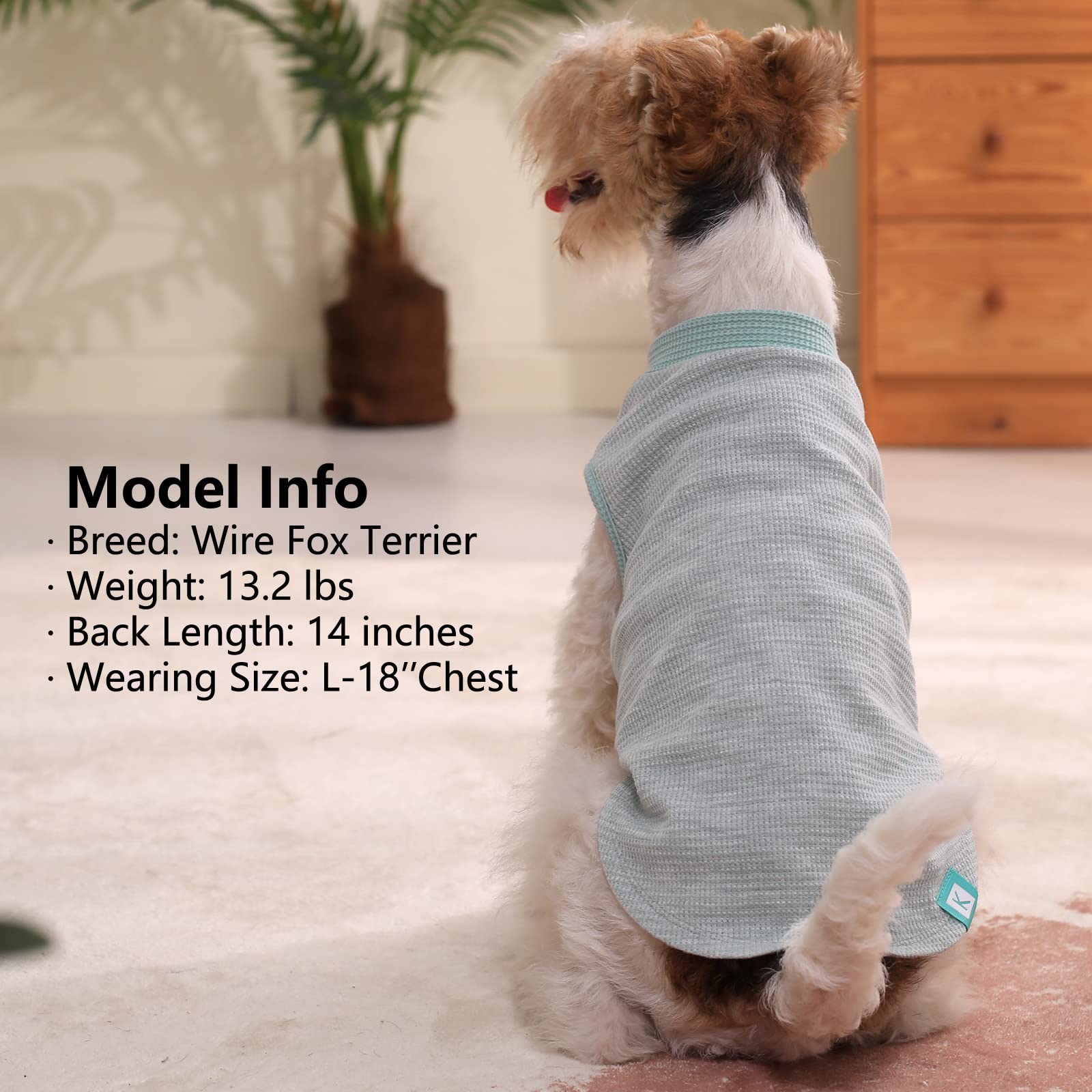 KYEESE washable dog shirt promises easy care after washing