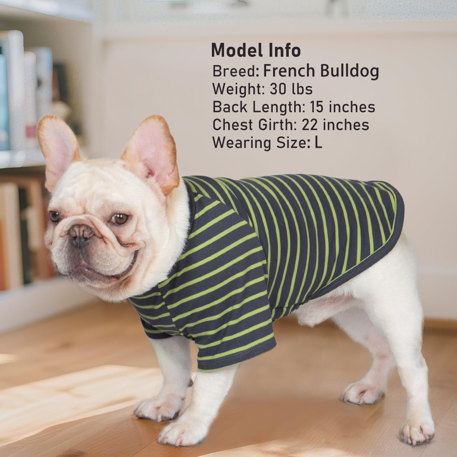 KYEESE dog sweater doubles as a baselayer for outdoor walks