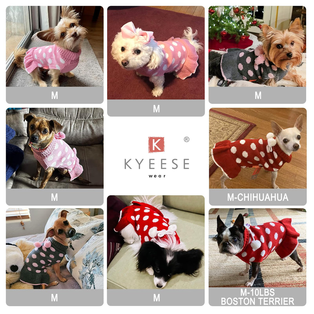 KYEESE dog sweater dress style suitable for cute daily wear and occasions